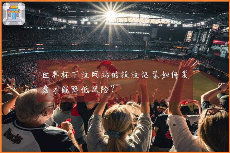世界杯下注网站的投注记录如何复盘才能降低风险?